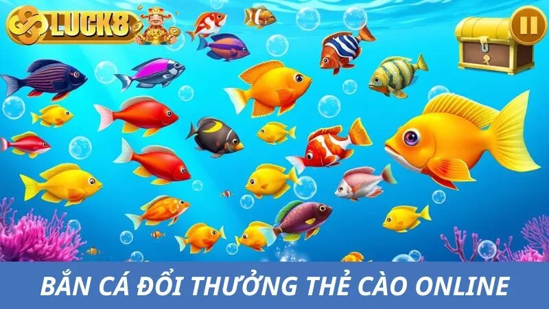 Top 5 Bí Kíp Chơi Bắn Cá Đổi Thưởng Thẻ Cào Online Luck8