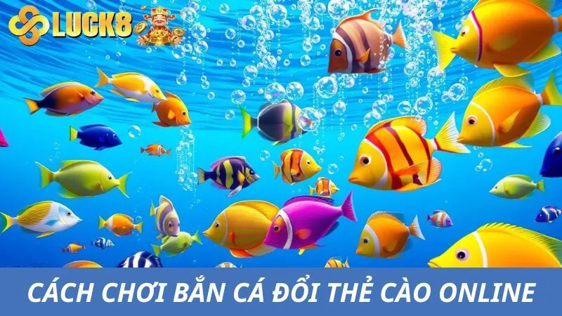 Chỉ dẫn tham gia bắn cá đổi thẻ cào nhanh chóng