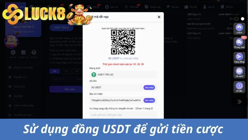 Sử dụng đồng USDT để nạp tiền Luck8 vào tài khoản 