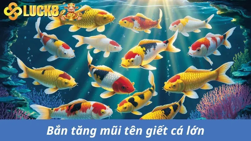 Bắn tăng mũi tên để giết cá lớn hiệu quả