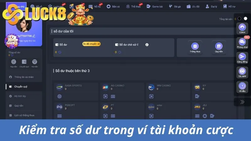 Hội viên kiểm tra số dư trong ví chính và phụ