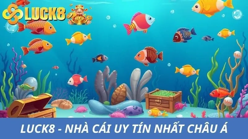 Top 3 ưu điểm nổi bật của nhà cái
